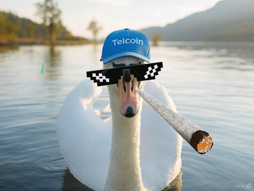 Here we goo February 👓 
$TEL  🔥