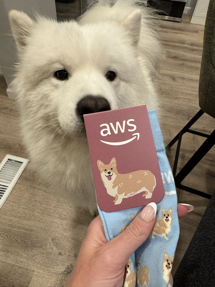 AlyshaPerisho's tweet image. Essex approves my new swag #aws #dogsofamazon