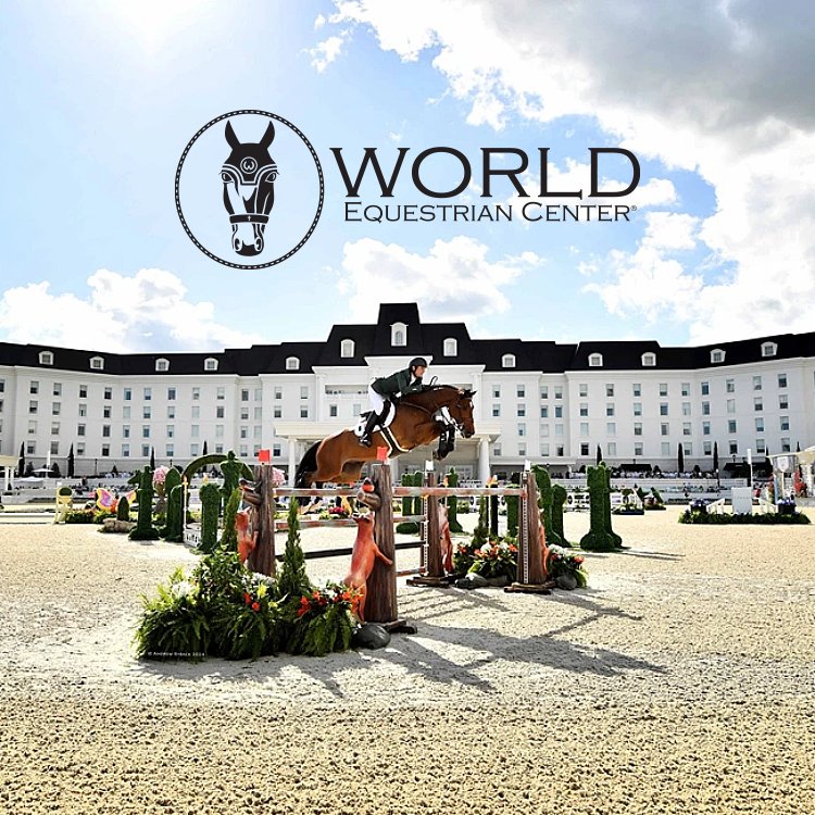 SportsPlanningGuide tweet media