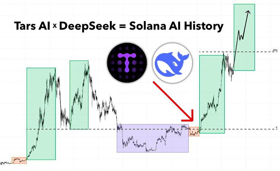 Discover tweet media