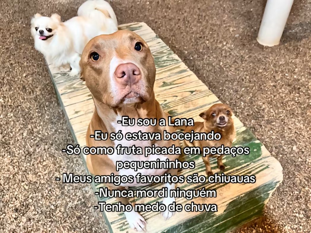 iti malias (@itimaliasof) on Twitter photo 