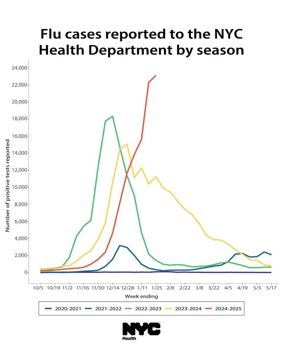 Flu season is in full force in NYC.

Cases continue to increase, and current reported cases are higher than during peaks in previous years.

Make sure you're protected from severe illness! If you still need your flu vaccine, make an appointment today: nyc.gov/flu