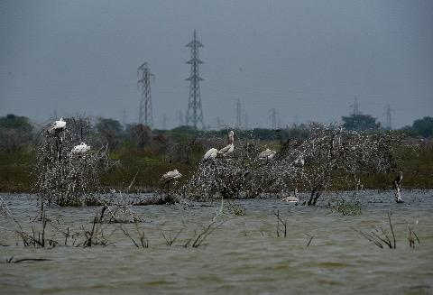 आकाशवाणी समाचार tweet media