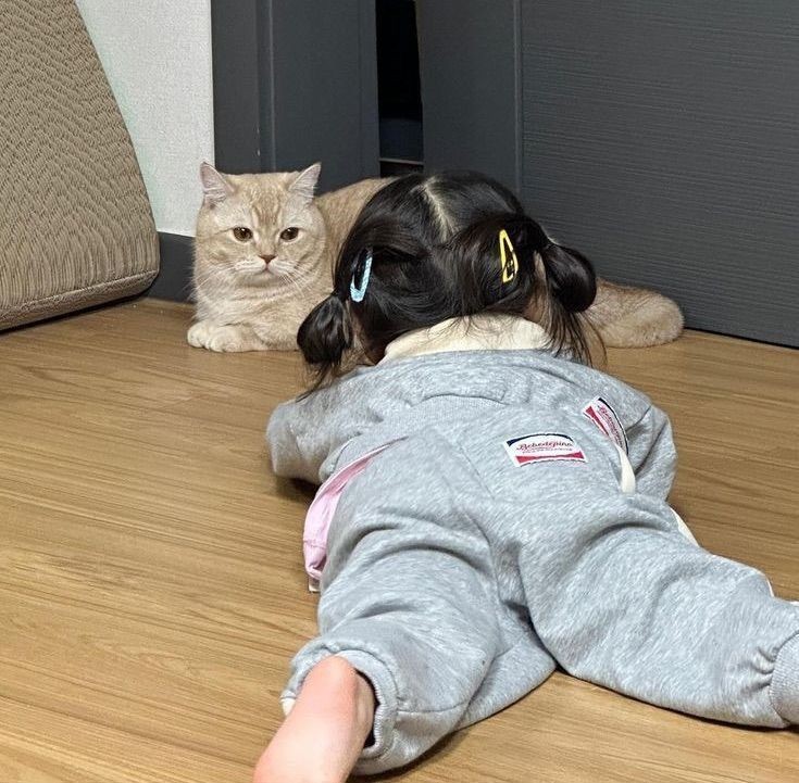 ตายที่เเปลว่าตายคางาน