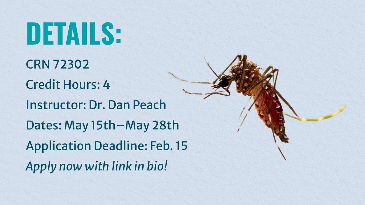 Department of Infectious Diseases, UGA tweet media