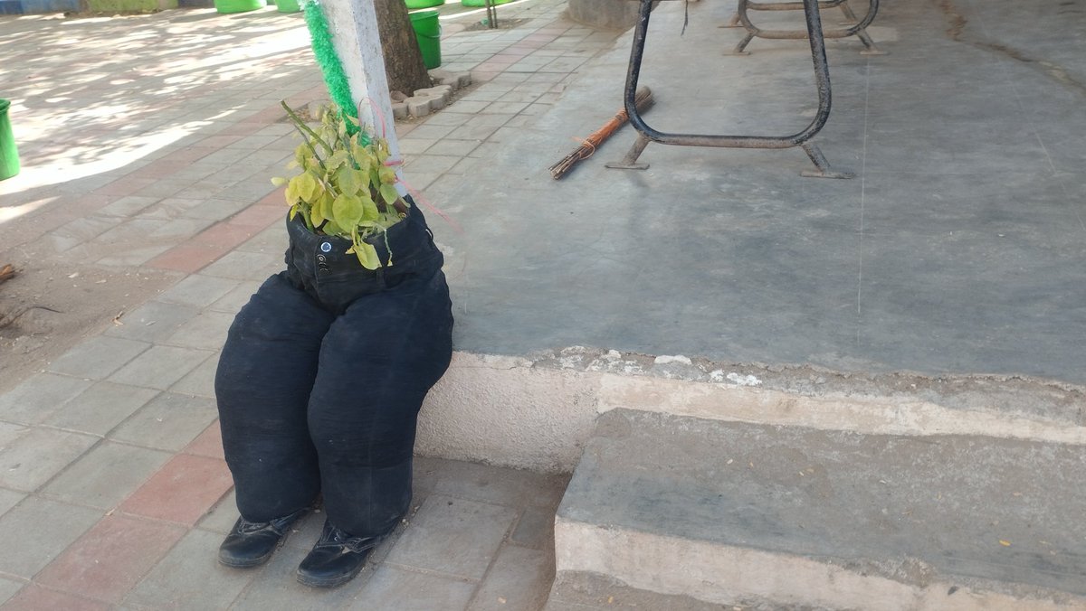vanitarathod79's tweet photo. Pmshri vinoba bhave pay center school no 93 Rajkot plantation in waste jeans... @CollectorRjt @kuberdindor @gujaratssa @PMOIndia @gujaratssa @EduMinOfIndia https://t.co/lxynGhpUns