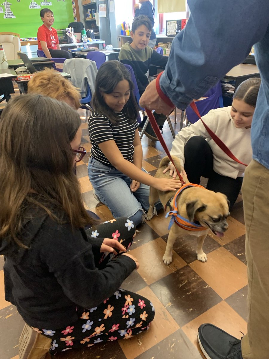 Students enjoyed meeting Stella the Therapy Dog!
