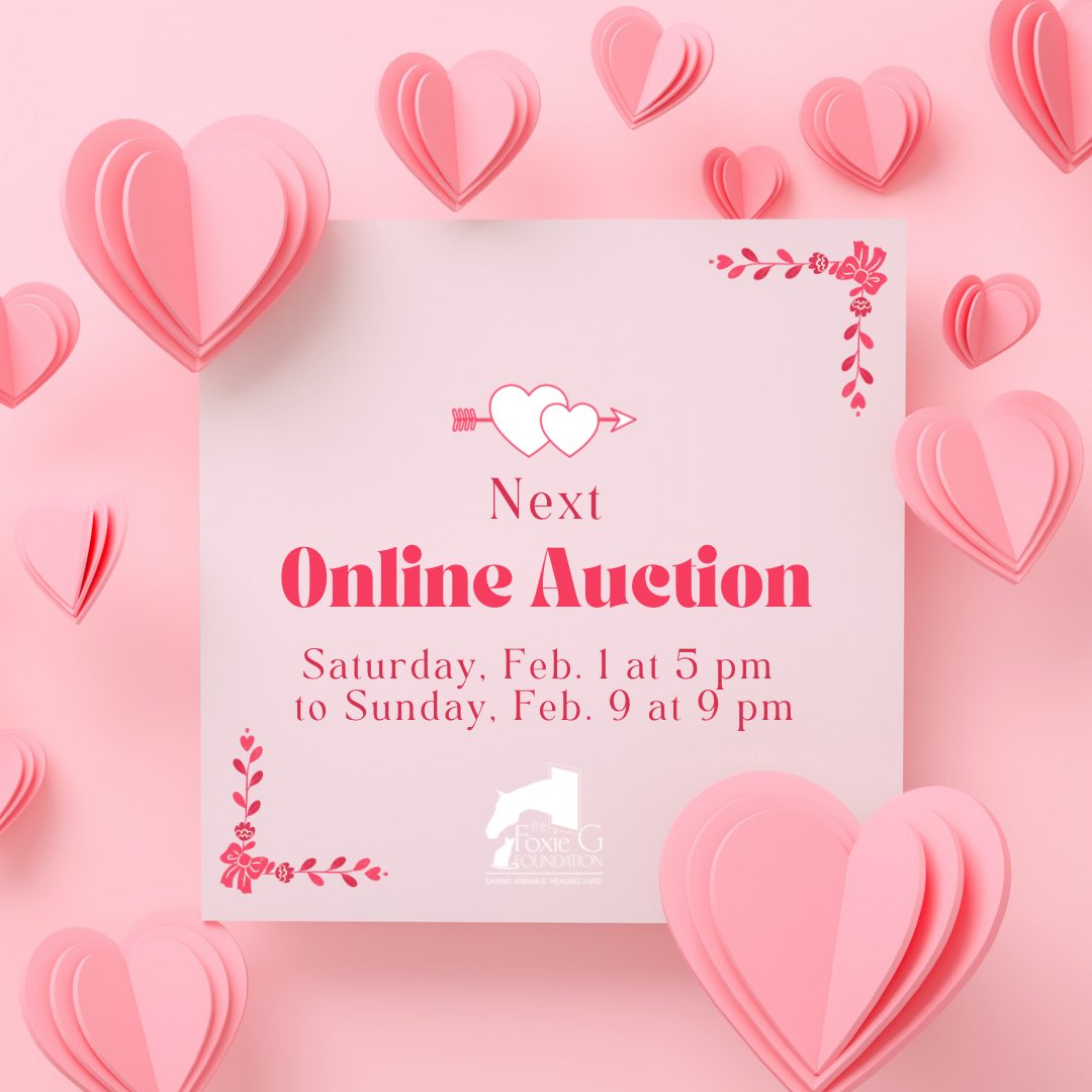 Foxie G Foundation tweet media