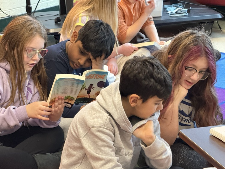 MathewsonBulldogs tweet media