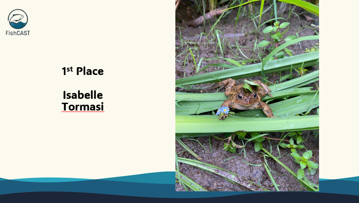 FishCAST tweet media