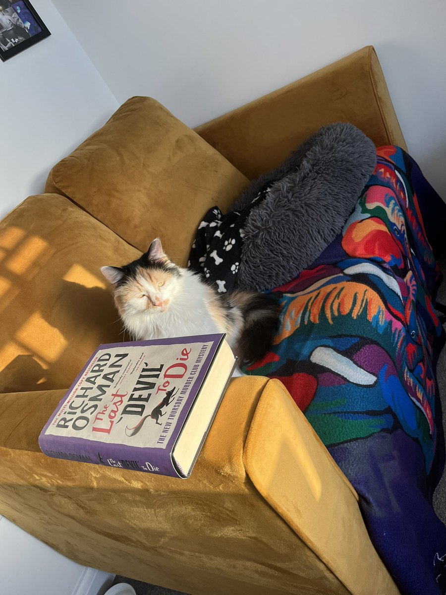 EJM1978's tweet image. Darcey may not have made her bed before going out on her walk but Nala is taking full advantage of the peace & quiet in the late afternoon sun, approving of my latest book choice! 😻😹😻😹 #CatsOfX #nala #thelastdeviltodie #lovebooks #fridayfun #homeoffice
