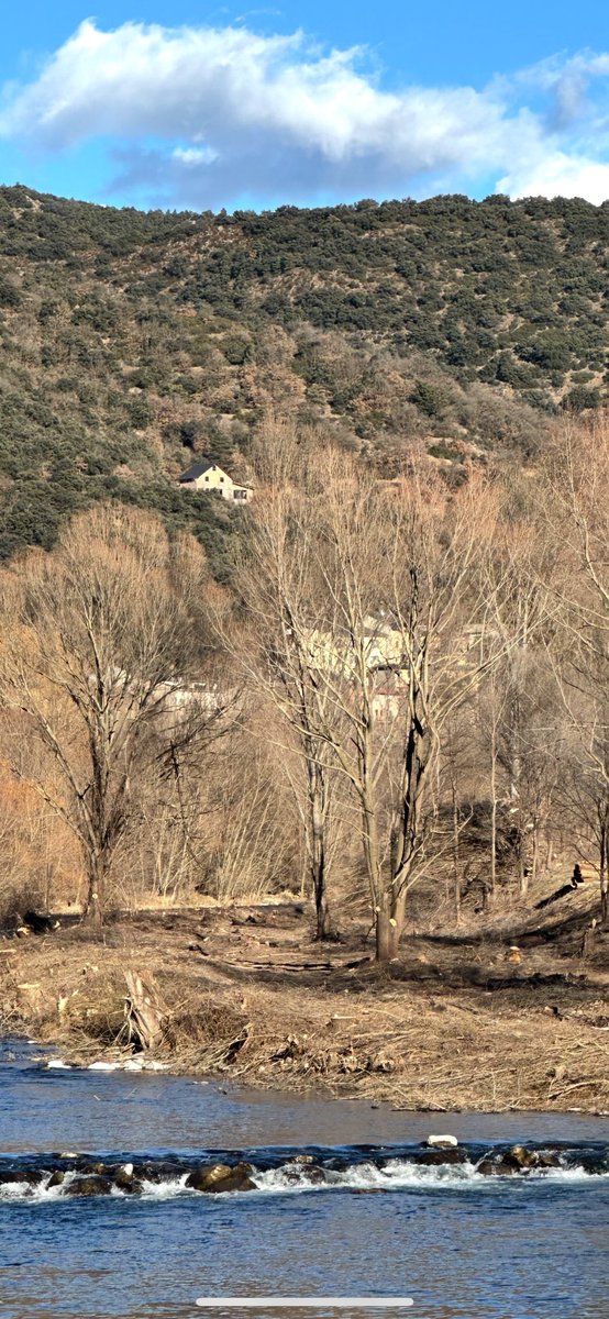 David Manzanera 🇪🇭 🌱🦇🦅🦂🦌 (@davidmsfoto) on Twitter photo Sembla ser que les administracions no han entès encara quina es la importancia dels rius i sobretot els boscos de ribera malgrat elmque va fer la #Dana a València, a la Seu d’Urgell s’està eliminant tot el bosc de ribera, caus de llúdriga inclosos…una salvatjada! <a href="/CH_Ebro/">Confederación Hidrográfica del Ebro</a> Sembla ser que les administracions no han entès encara quina es la importancia dels rius i sobretot els boscos de ribera malgrat elmque va fer la #Dana a València, a la Seu d’Urgell s’està eliminant tot el bosc de ribera, caus de llúdriga inclosos…una salvatjada! <a href="/CH_Ebro/">Confederación Hidrográfica del Ebro</a>
