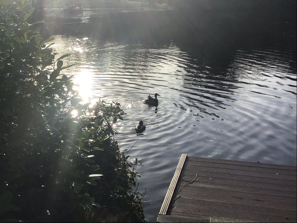 SS John & Monica's (@ssjohnmonicas) on Twitter photo On Wednesday, Year 5 ventured out to <a href="/MoseleyParkPool/">Moseley Park & Pool</a> to assess the cleanliness of a local marine environment. We picked up any litter we found, and looked at how the environment supports living things. #Y5 On Wednesday, Year 5 ventured out to <a href="/MoseleyParkPool/">Moseley Park & Pool</a> to assess the cleanliness of a local marine environment. We picked up any litter we found, and looked at how the environment supports living things. #Y5