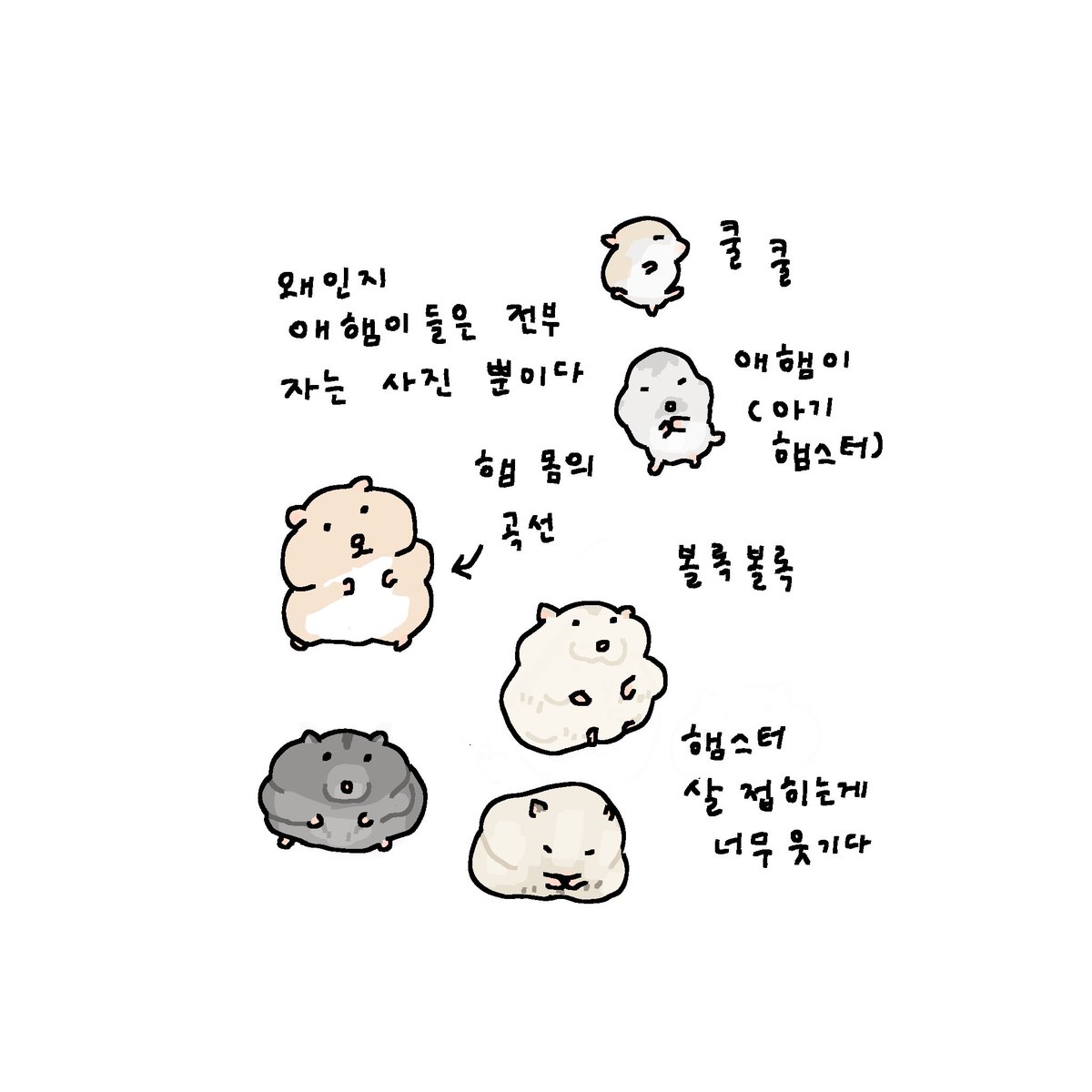 띠리 tweet media