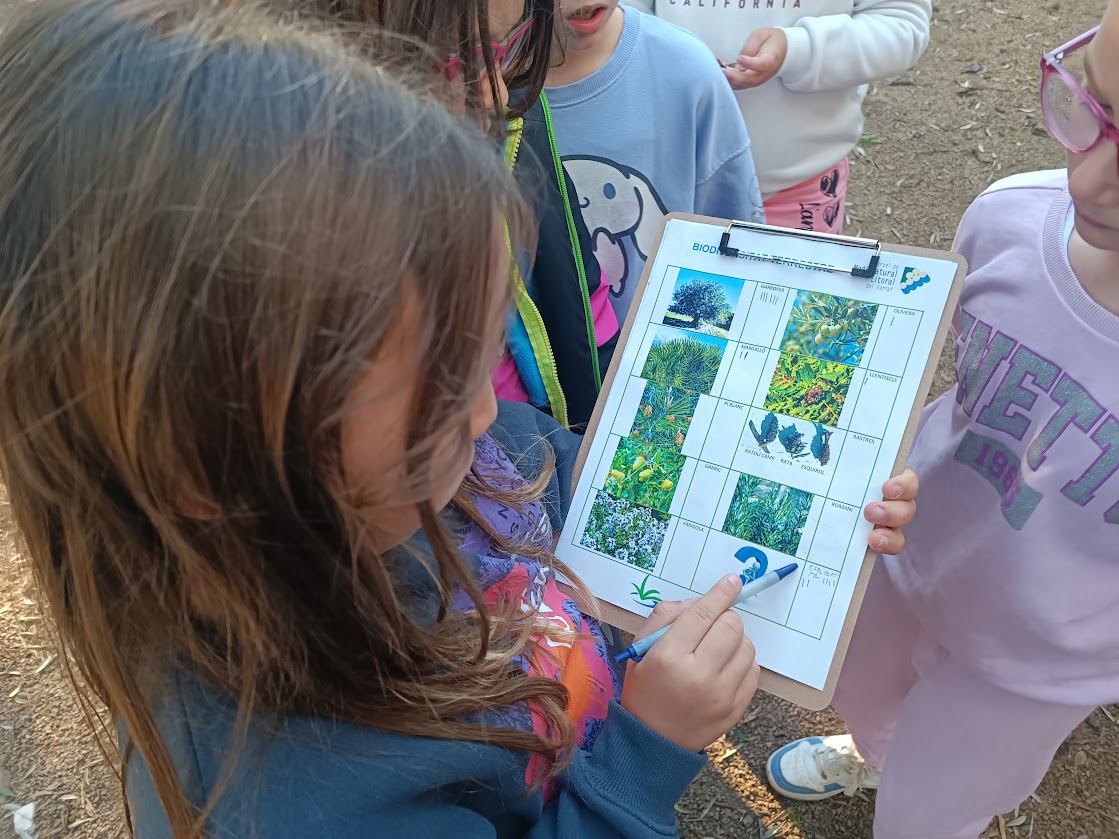 Els ajuntaments i el Consell Comarcal del Garraf valoren molt positivament el treball conjunt en l’àmbit del medi ambient. Aquest any es desenvoluparan dues campanyes per posar en valor el món de la pagesia i per fomentar el respecte pels espais naturals.
ccgarraf.cat/actualitat/not…