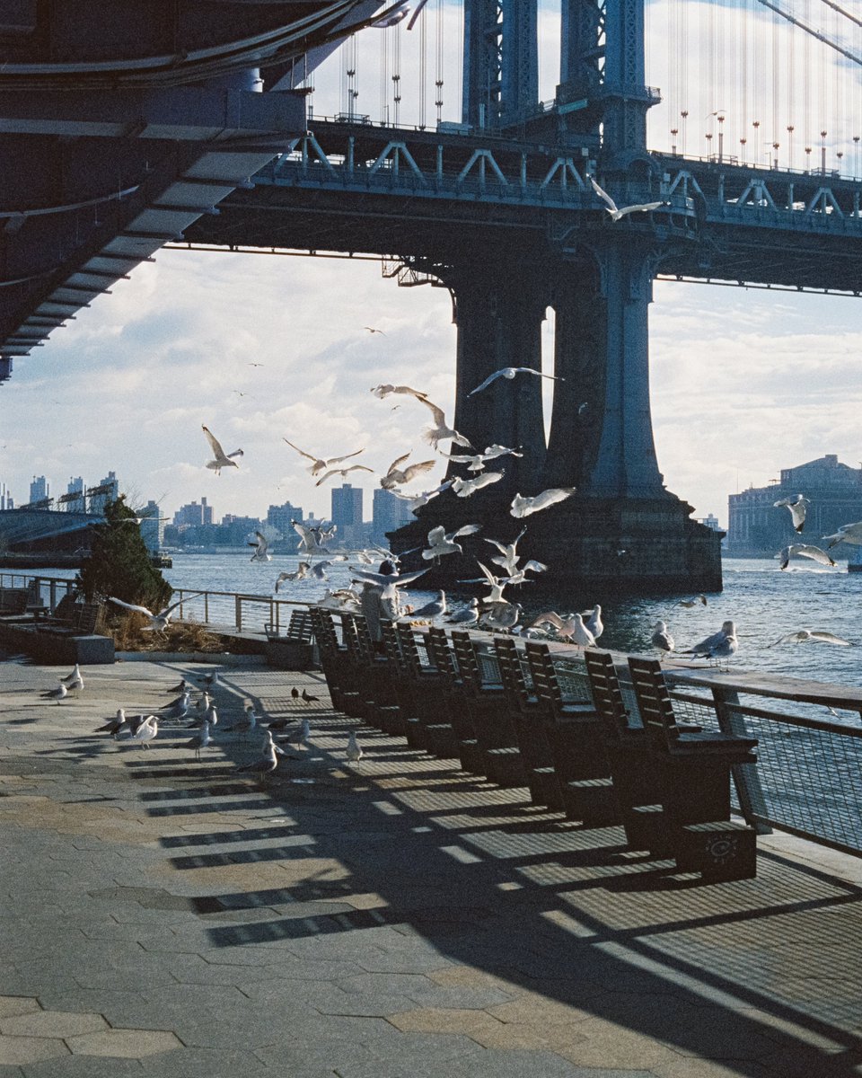 New York on 35mm film 🎞️