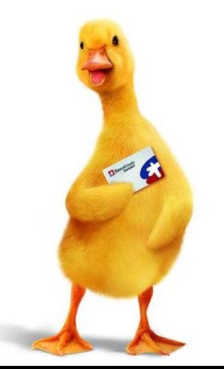 Pato ctm ladron, ojalá que se te caiga el pico #bancoestado