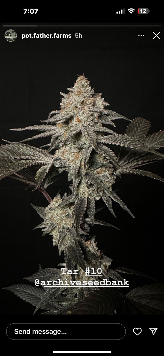 Archive Seed Bank tweet media