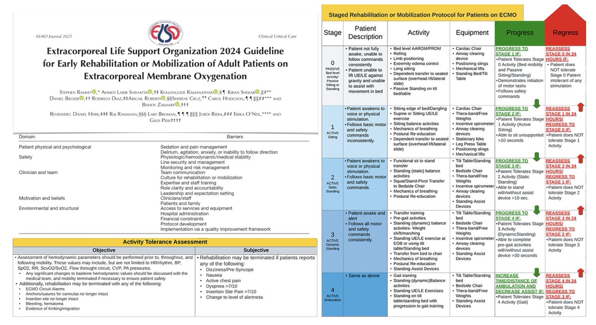 M Velia Antonini (@foamecmo) on Twitter photo The ELSO guideline for early #ICUrehab of adults on #ECMO
π§ rationale & barriers
β
checklist & βοΈ emergency stop protocol
π interprofessional team
πͺπΌ rehabilitation or mobilization
π« staff training & clinical governance
#FOAMcc <a href="/asaiojournal/">asaiojournal</a>
π bit.ly/40VDU7w The ELSO guideline for early #ICUrehab of adults on #ECMO
π§ rationale & barriers
β
checklist & βοΈ emergency stop protocol
π interprofessional team
πͺπΌ rehabilitation or mobilization
π« staff training & clinical governance
#FOAMcc <a href="/asaiojournal/">asaiojournal</a>
π bit.ly/40VDU7w