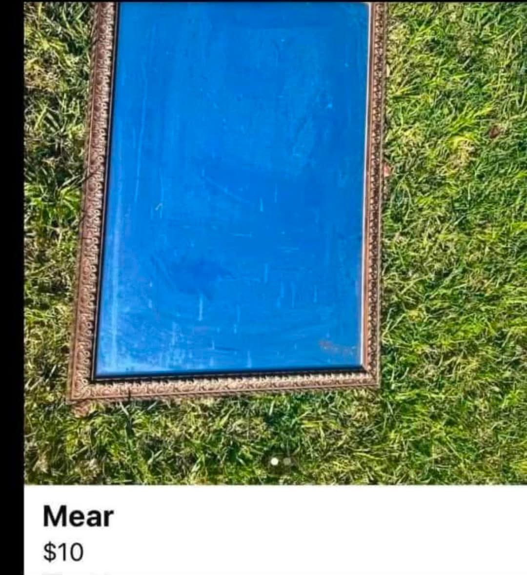 John “The Neanderthal” Fetterman (@dalla_scienza) on Twitter photo 