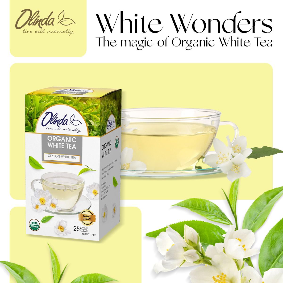 GccOlinda's tweet photo. Let the light and balanced flavors of Olinda Organic White Tea redefine your tea moments. 

Crafted with care, this Ceylon White Tea supports a healthy lifestyle while promoting youthful, glowing skin.

LuLu Hypermarket - https://t.co/WxPweqmvbe

#OlindaTea #tea #whitetea https://t.co/N4r445y4ec