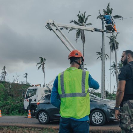 À Mayotte, après le cyclone Chido, comme le Premier ministre s'y était engagé, l'électricité a été rétablie pour l’ensemble des foyers touchés.

Je tiens à remercier l'engagement des équipes d’EDM - Électricité de Mayotte, d’<a href="/EDFofficiel/">EDF</a> et d’<a href="/enedis/">Enedis</a>, qui ont oeuvré dans des