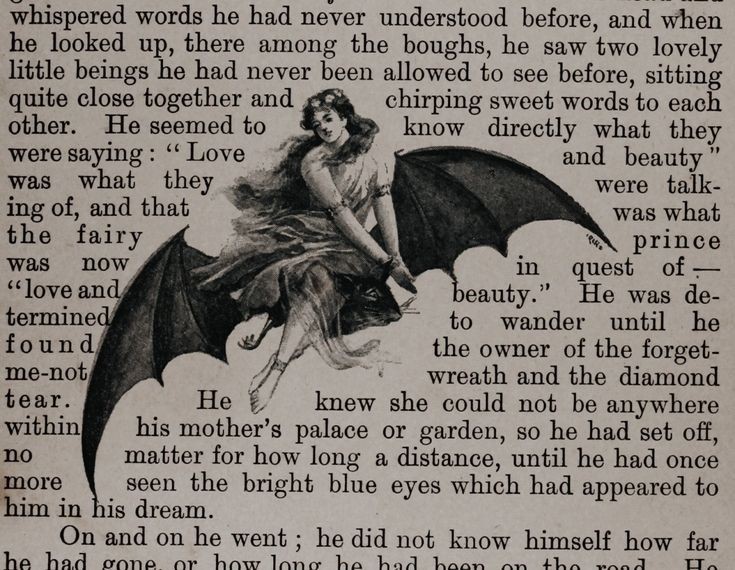 𝕳𝖚𝖟𝖚𝖗𝖘𝖚𝖟 𝕶𝖊𝖉𝖎 🦇 tweet media