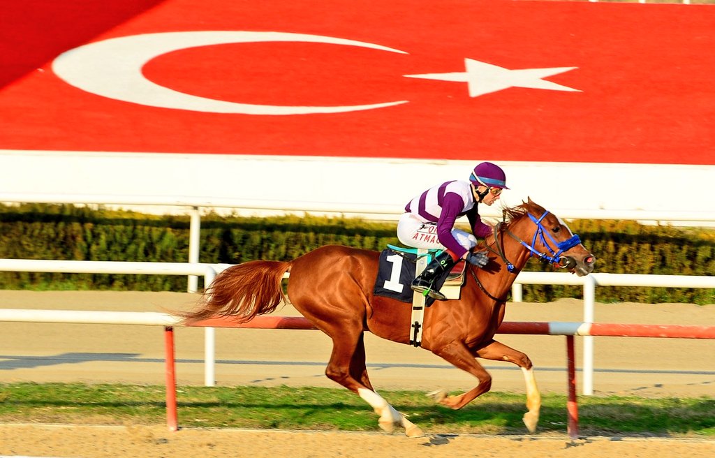 pride_falcon's tweet image. #Tatlıçağ &amp;amp; #Ervanur
             ❤️💪🐎
Emeği geçen herkese teşekkürler. 🥇👏