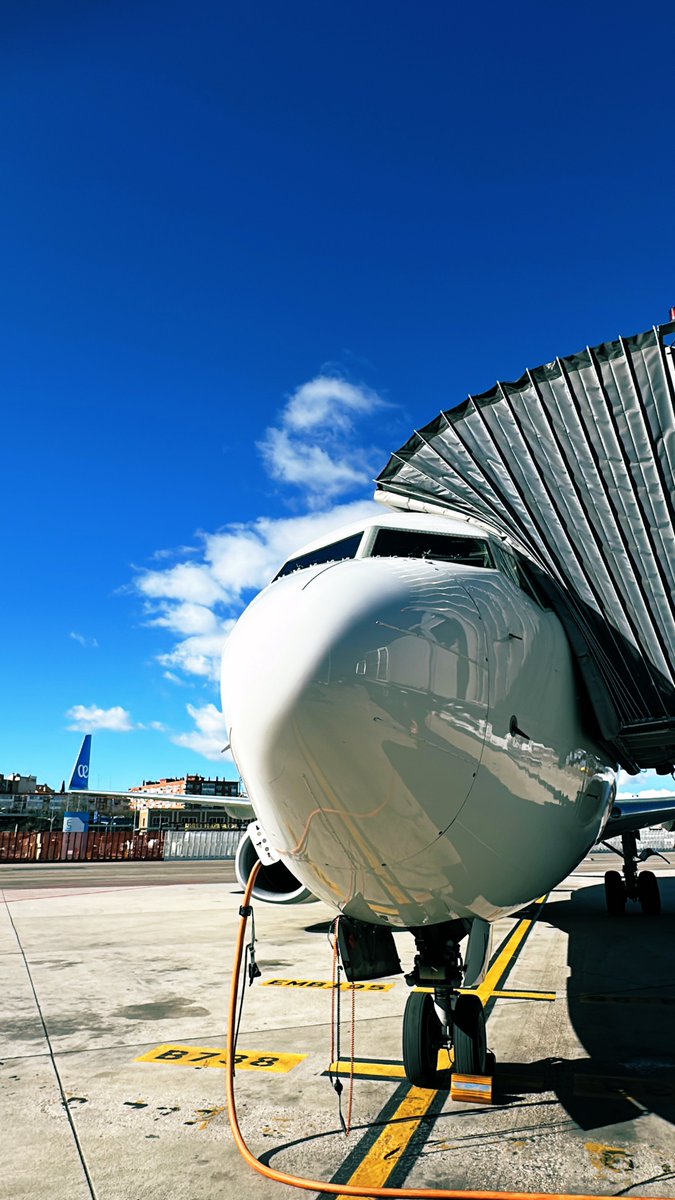 flyingwilliams tweet media