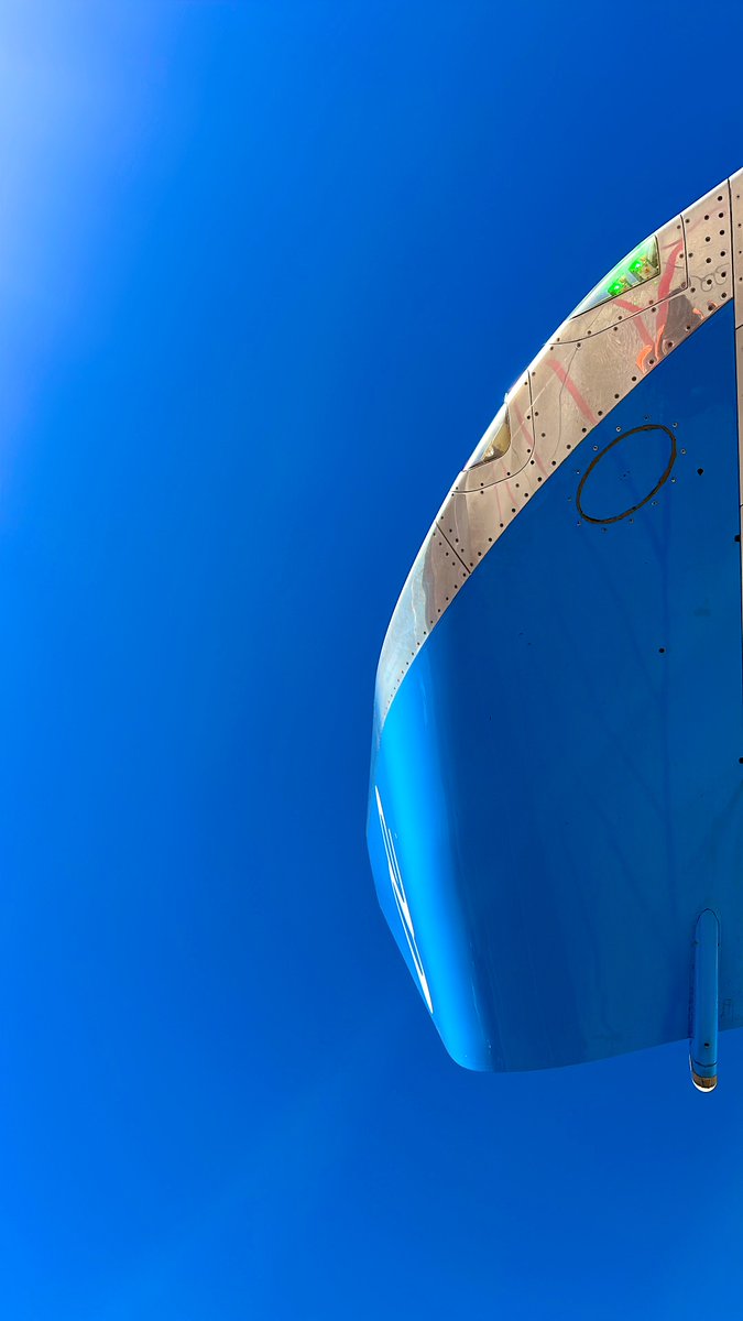 flyingwilliams tweet media