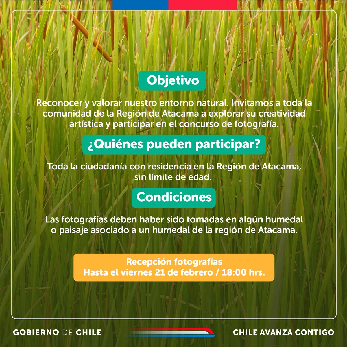 MMAAtacama's tweet photo. Nuestra Seremi @MMAAtacama te invita a participar del CONCURSO FOTOGRÁFICO "HUMEDALES, ESPACIOS DE VIDA DE ATACAMA".
Captura su belleza  y comparte tu visión de estos importantes ecosistemas de Atacama. 

Abierto a todos hasta el 21 de febrero. 

Más información en nuestro perfil https://t.co/I1aitU5zRa
