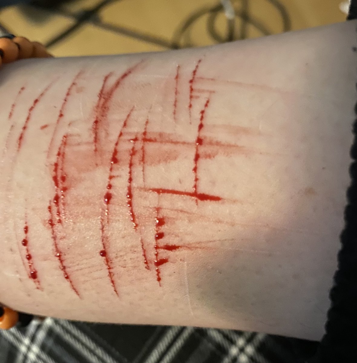 M0LD3RIX's tweet photo. super quick cat scratches before i have to leave https://t.co/XOD2yfUniK