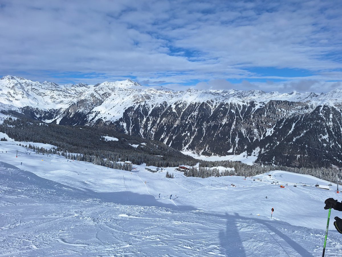 Vlastimil Weiner tweet media