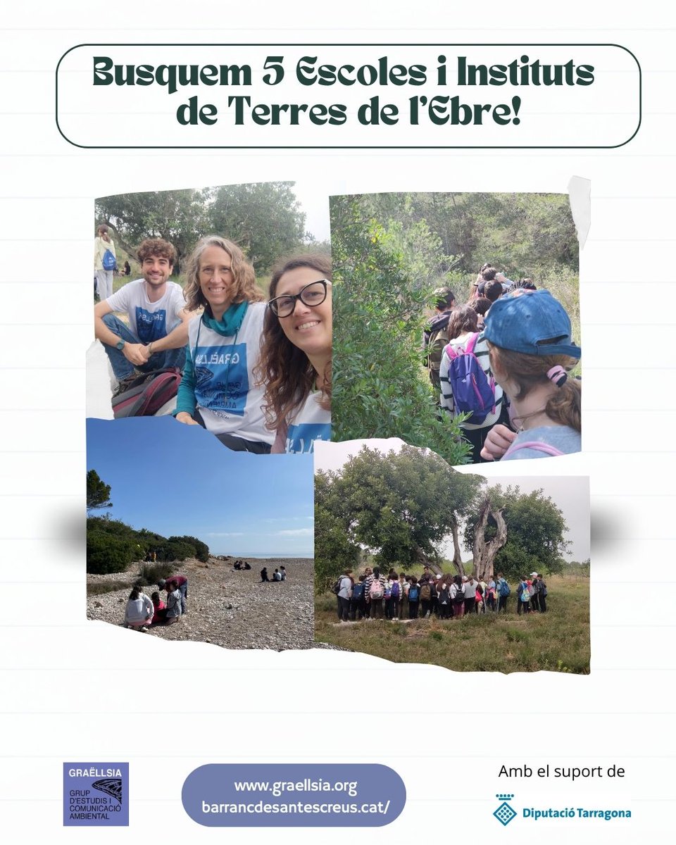 Graëllsia tweet media