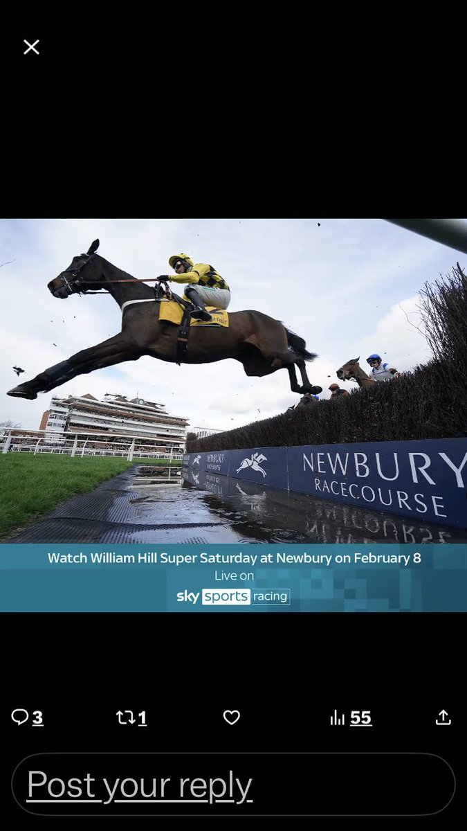 discodyl's tweet photo. @AtTheRaces @NewburyRacing https://t.co/p36J8qM91j