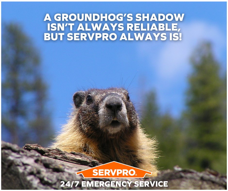The groundhog’s prediction might be uncertain, but SERVPRO’s reliability never is! 🏠❄️ We’re here to make it like it never even happened. #SERVPRO #GroundhogDay
