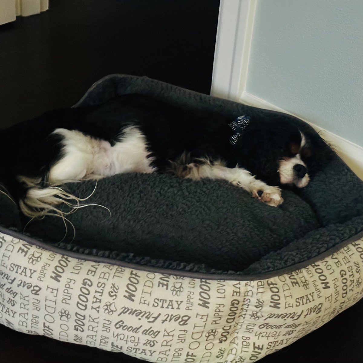 Rich Garwood tweet media