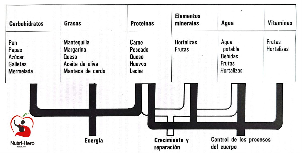 Nutri_Hero's tweet photo. Cada nutriente tiene su función:
🔥 Carbohidratos = Energía
💪 Proteínas = Crecimiento
🛢️ Grasas = Reserva
🧠 Vitaminas/Minerales = Regulación
💧 Agua = Equilibrio

¡Tu cuerpo necesita de todos! 🔄

#Salud #Nutrición #AlimentaciónSaludable #nutrihero https://t.co/LN9GADFCj9