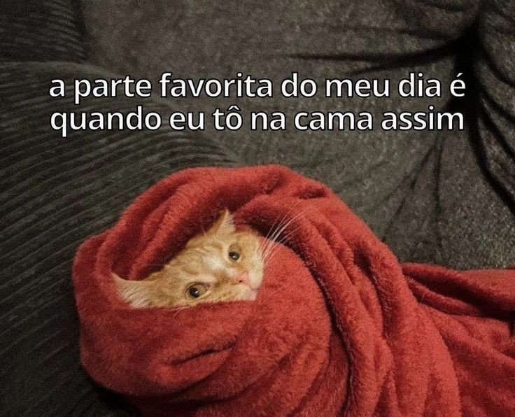 teu caos (@sobreteucaos) on Twitter photo 