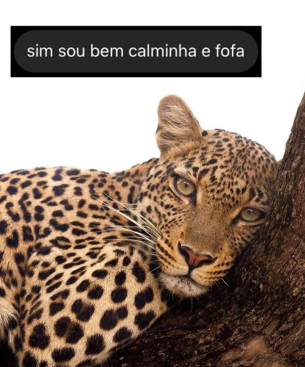 sobreteucaos's tweet image. 