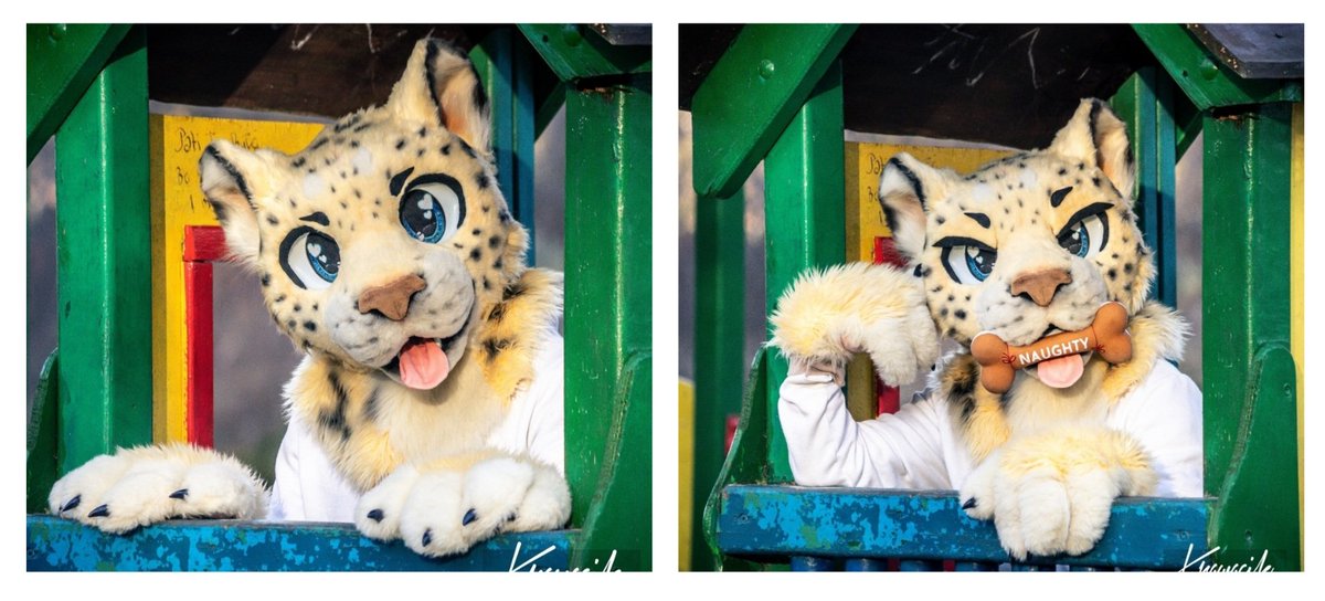 _chiniak_'s tweet photo. Am I a nice or naughty kitty?

Photo by @krawacikpanda 

#furry #fursuitfriday #nice #naughty #kitty #cat #fursuit https://t.co/PTkEgTmv41
