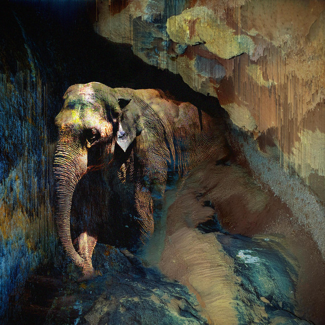 conor 🔸 tweet media