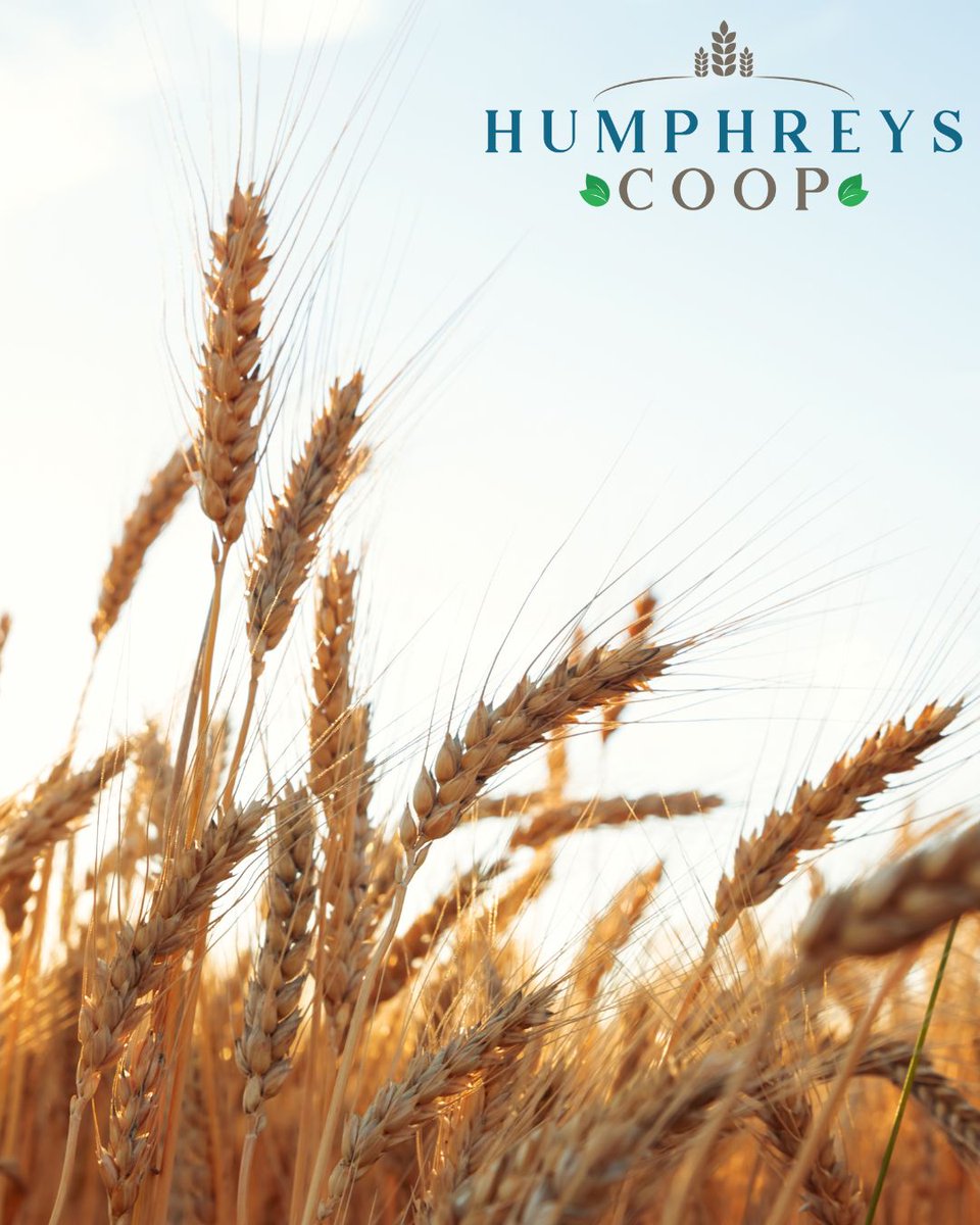 As a farmer-owned cooperative, we understand the challenges of modern agriculture. 🌾

That’s why we’re committed to providing the best products, services, and support to help you succeed season after season. 

If we can ever be of service to your operation, don't hesitate to ...