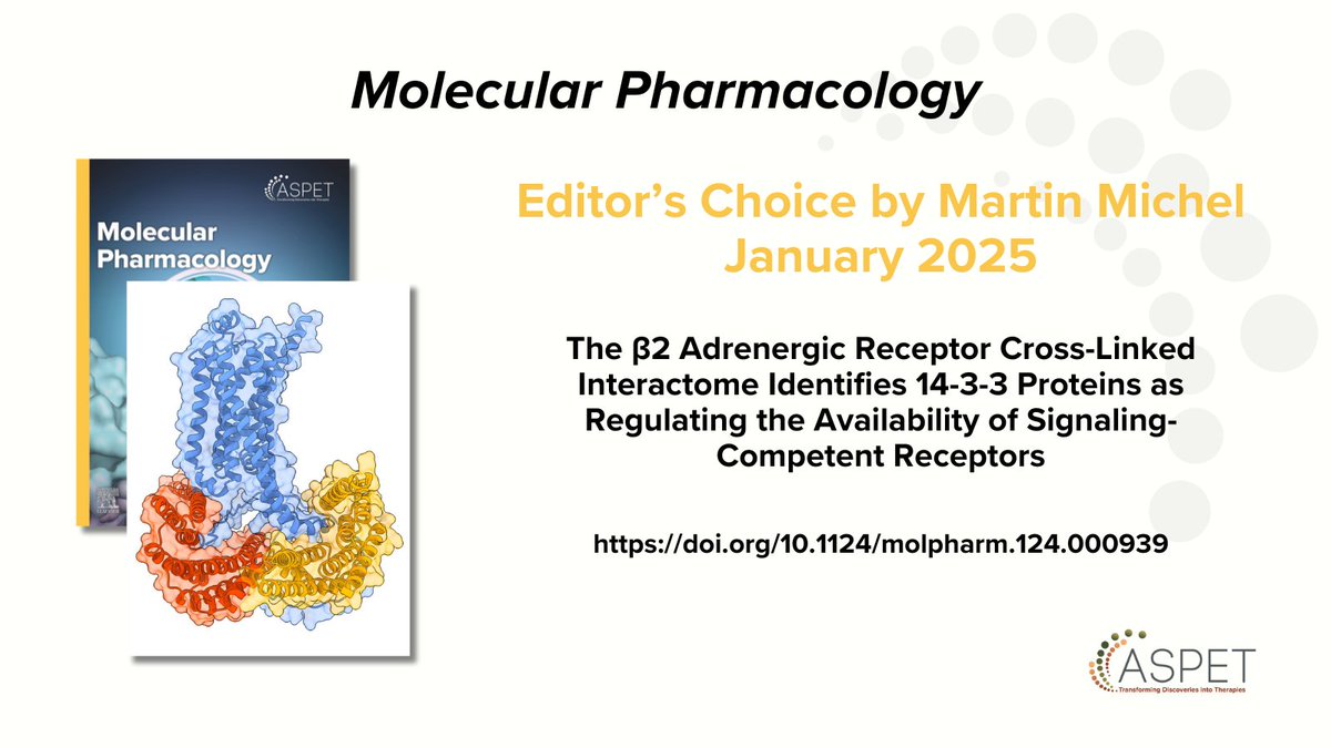 An #interactome study from @hopkinsmedicine identifies 14-3-3 proteins (6 of 7 isoforms) as restricting access of the beta2 adrenergic receptor to its signaling partners, thereby being becoming negative regulators of receptor function. Read the article: doi.org/10.1124/molpha…