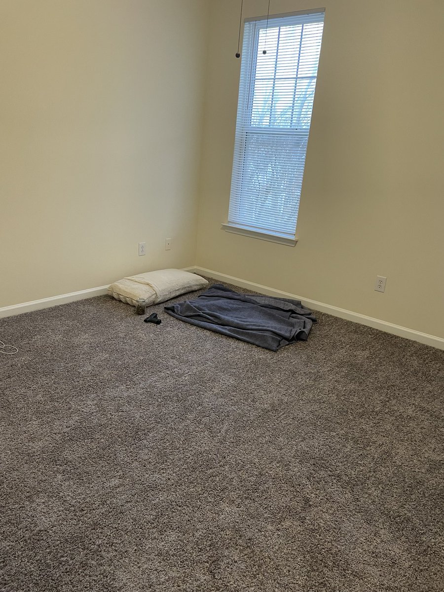 ant_brain_'s tweet photo. All moved in :) https://t.co/I5viLpFDHG