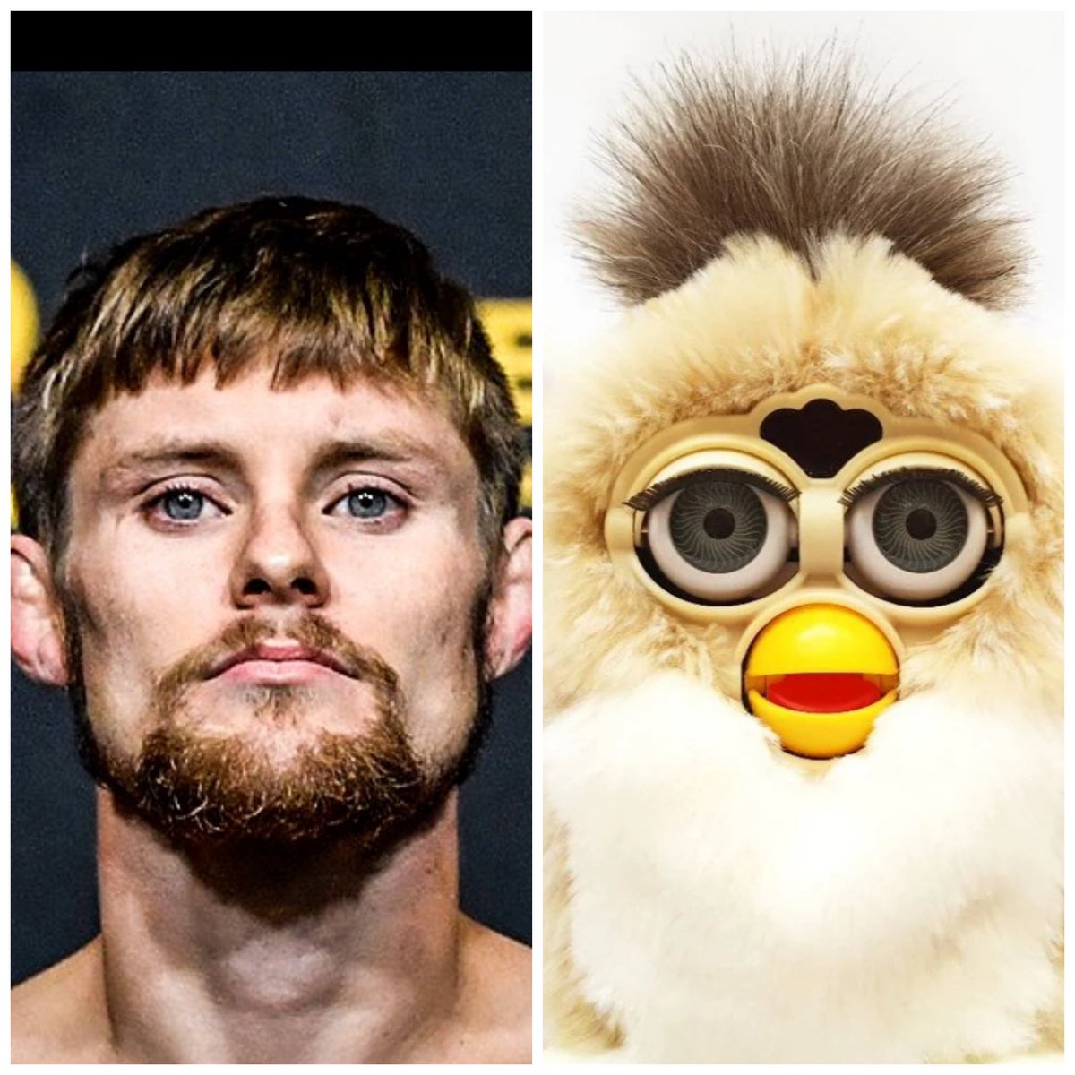 Rufusdufus911's tweet photo. @Brodyxking Once u see it, u can never unsee it https://t.co/IzMhL5I23V