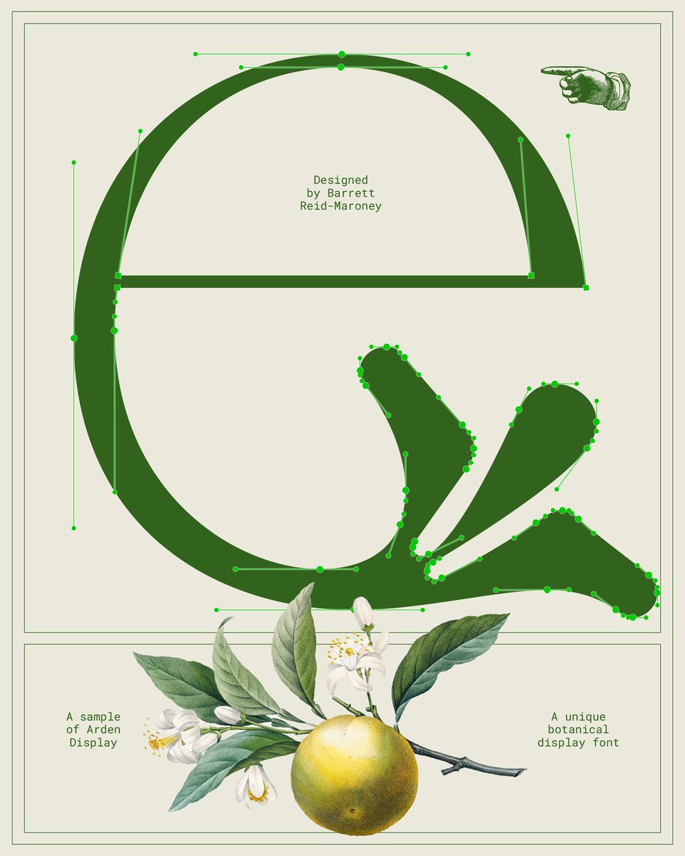 A nature-inspired lowercase “e” letterform design from my Arden typeface.