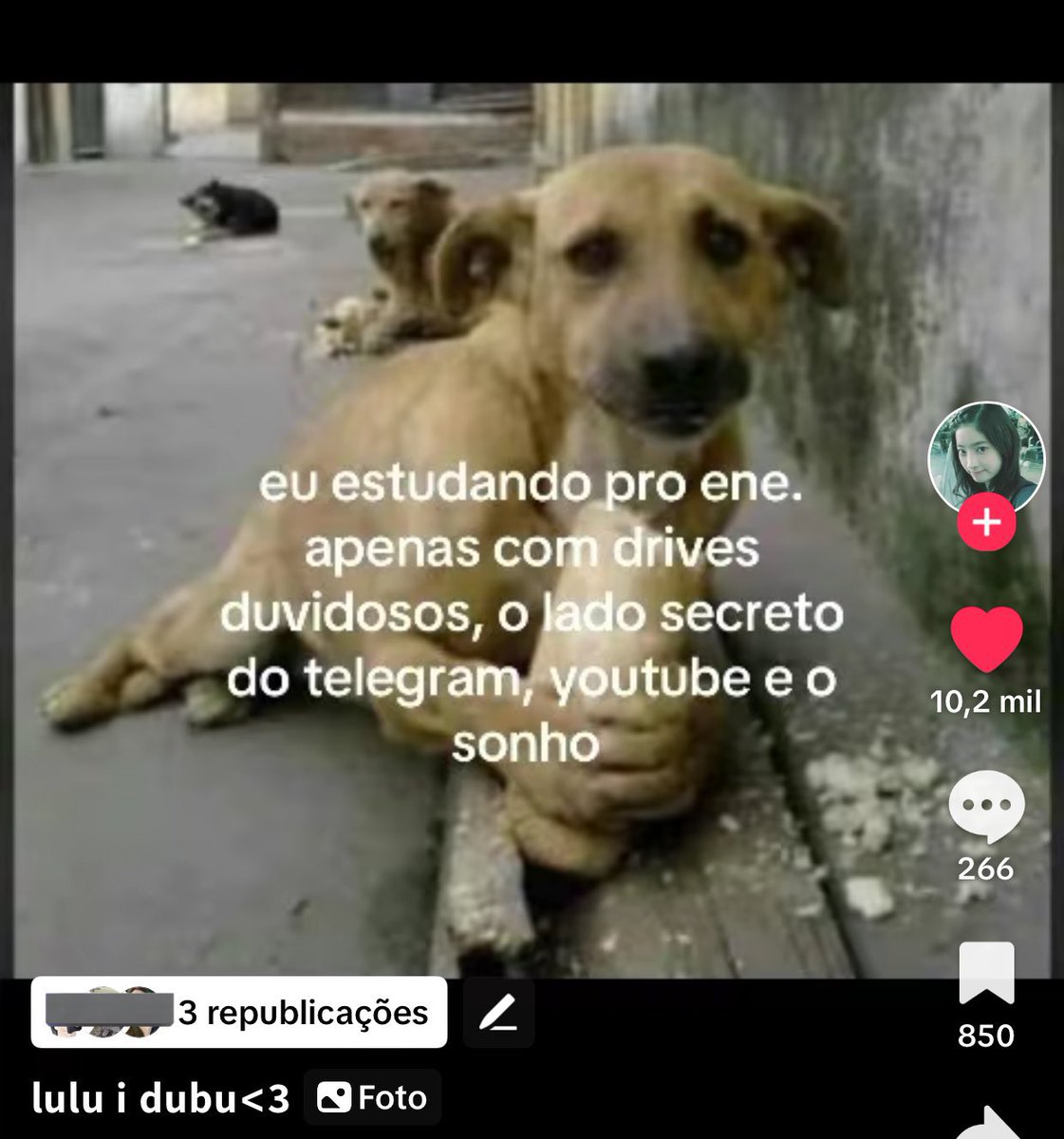 thvrsfx's tweet image. eu estudando pro ene.