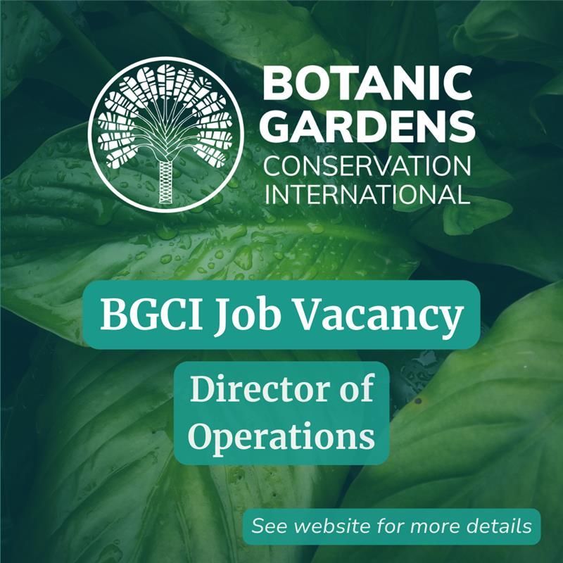 BGCI is now looking to hire a Director of Operations who is experiences, committed, passionate and self-driven. The closing date for applications is February 24.
Learn more and apply buff.ly/40Gmjir
#ConservationJobs #ConservationOpportunities #PlantConservation