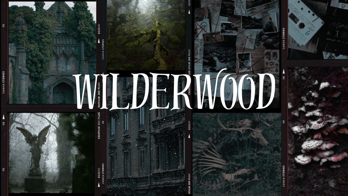 nikoauthors's tweet photo. Agent’s guide to WILDERWOOD, a 76,000 word YA fantasy mystery!

#agentsguide #writingcommunity #amquerying https://t.co/y5v2ObP9G5